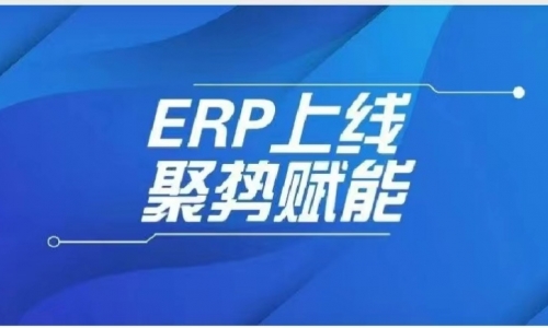 ERP上線(xiàn)，浙江德匯開(kāi)啟數(shù)字化轉(zhuǎn)型新篇章